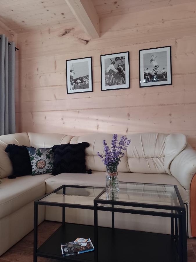 Domek Na Goralska Mode Сухе Екстер'єр фото